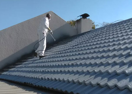 roof painting services
